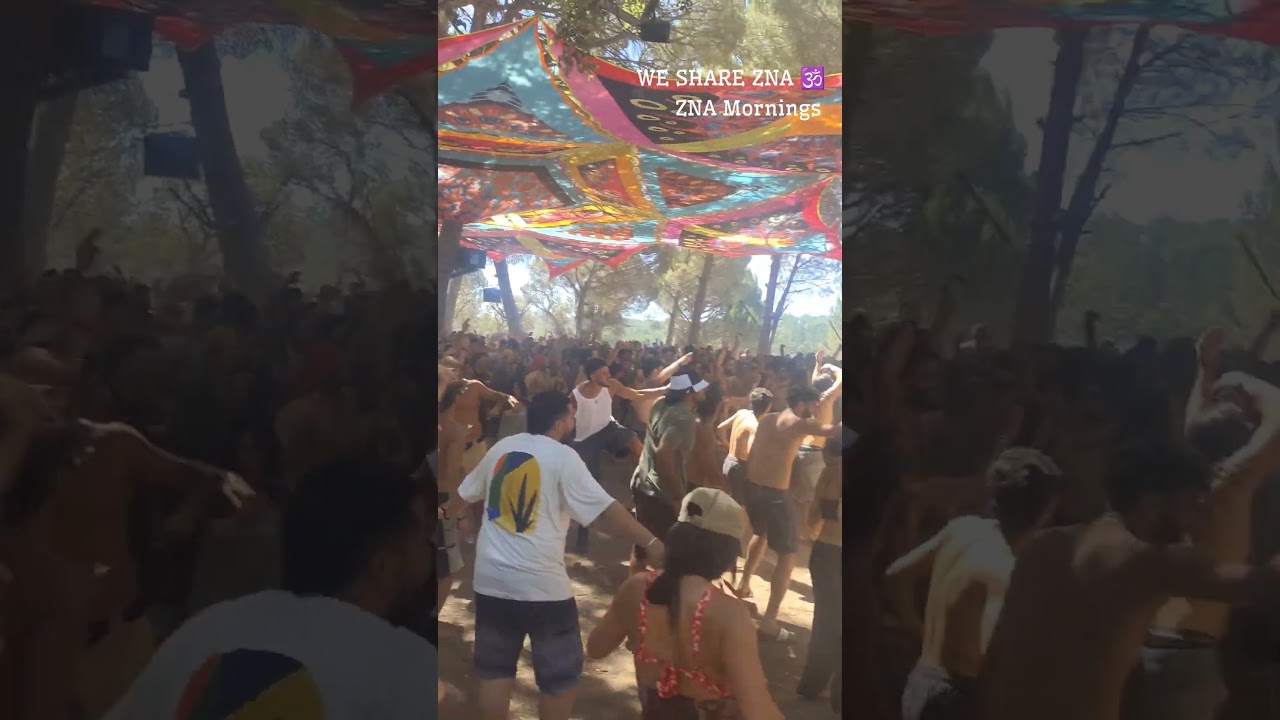 Best Dance floor on the planet - ZNA Gathering 2024. #goatrance #psytrance #vibes #musicfestival