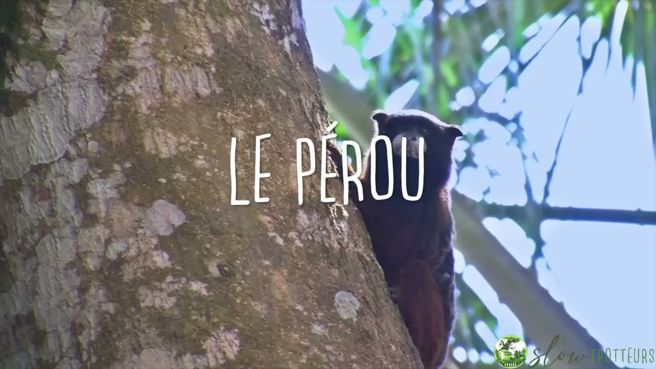 Voyage responsable au P&eacute;rou - Slow Trotteurs
