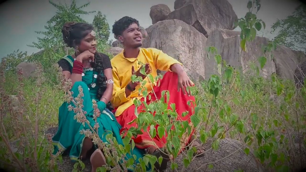 चैतराम टेकाम |Cg Songs| चरदिनिया