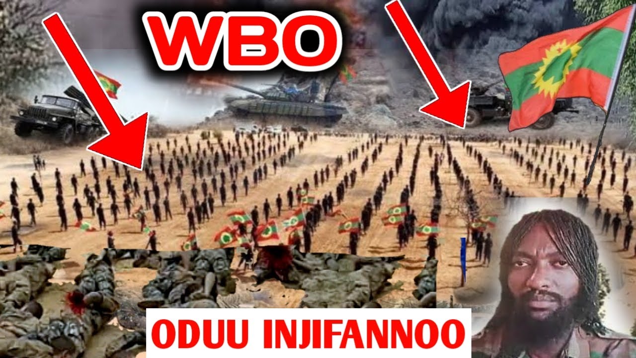 ODUU MOHA INJIFANNOO WBO Haaraa Amma nu geesse kunoo