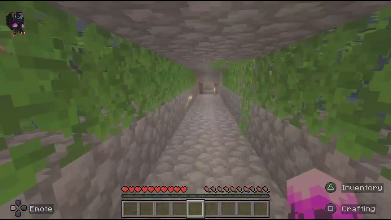 Minecraft_20260111092524