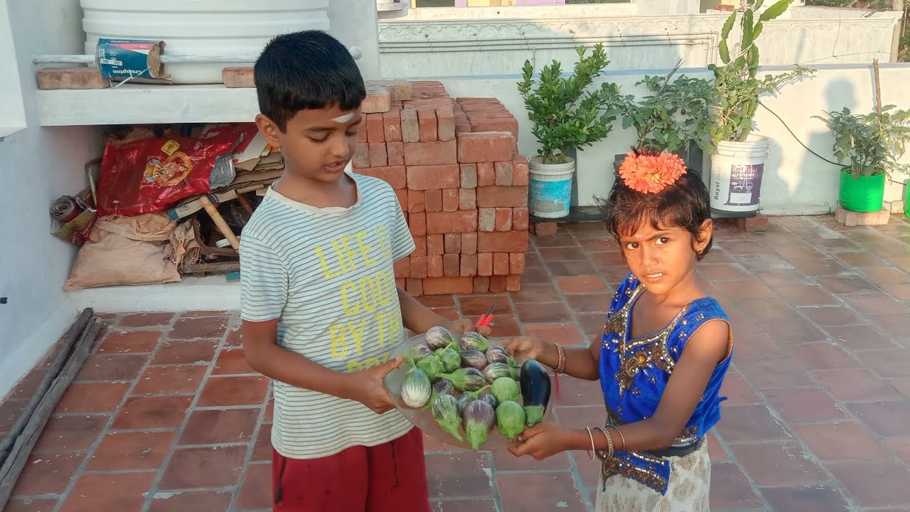 மாடித் தோட்டம் // Terrace garden #gardening #garden #terracegarden #youtubevideo 