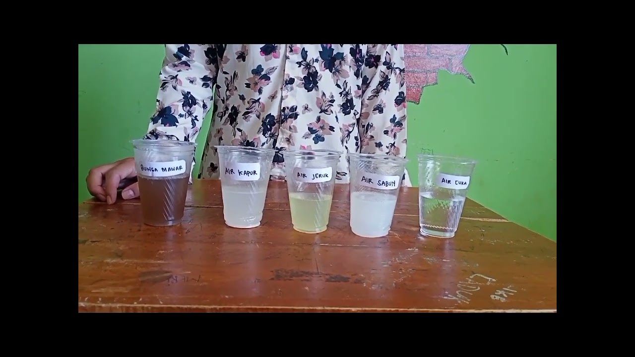 PRAKTIKUM KIMIA || indikator asam basa dari bahan alami #kelompok 2 #12 Mia 2 #MA 'Plus' Al-Furqon