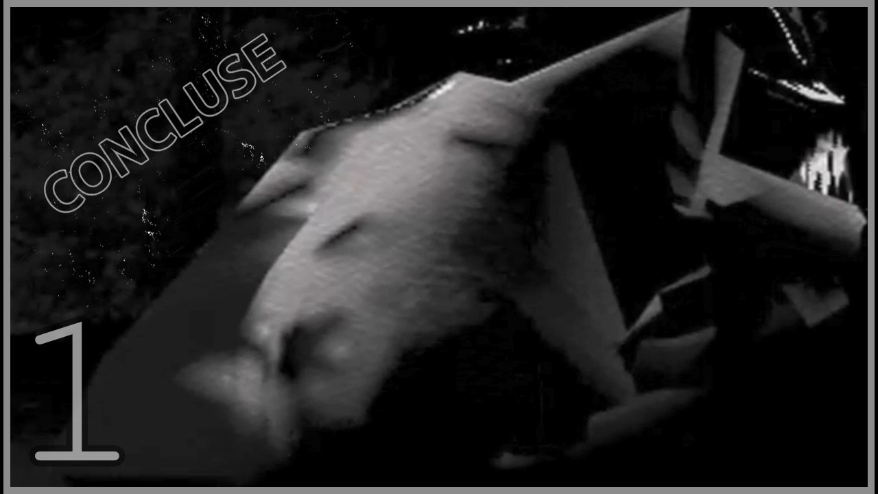 Concluse (1/2) -- I don't like talking on the phone