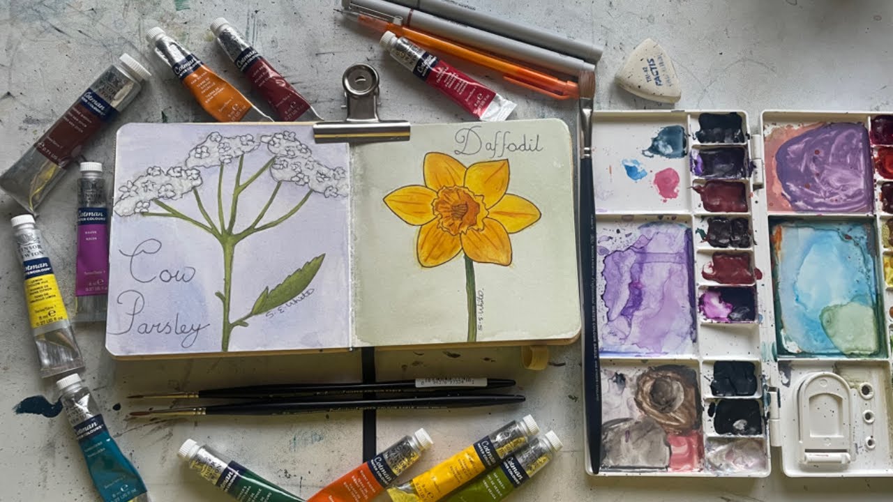 Learning How to Paint Watercolour Flowers; Using Winsor & Newton Cotman Watercolours!