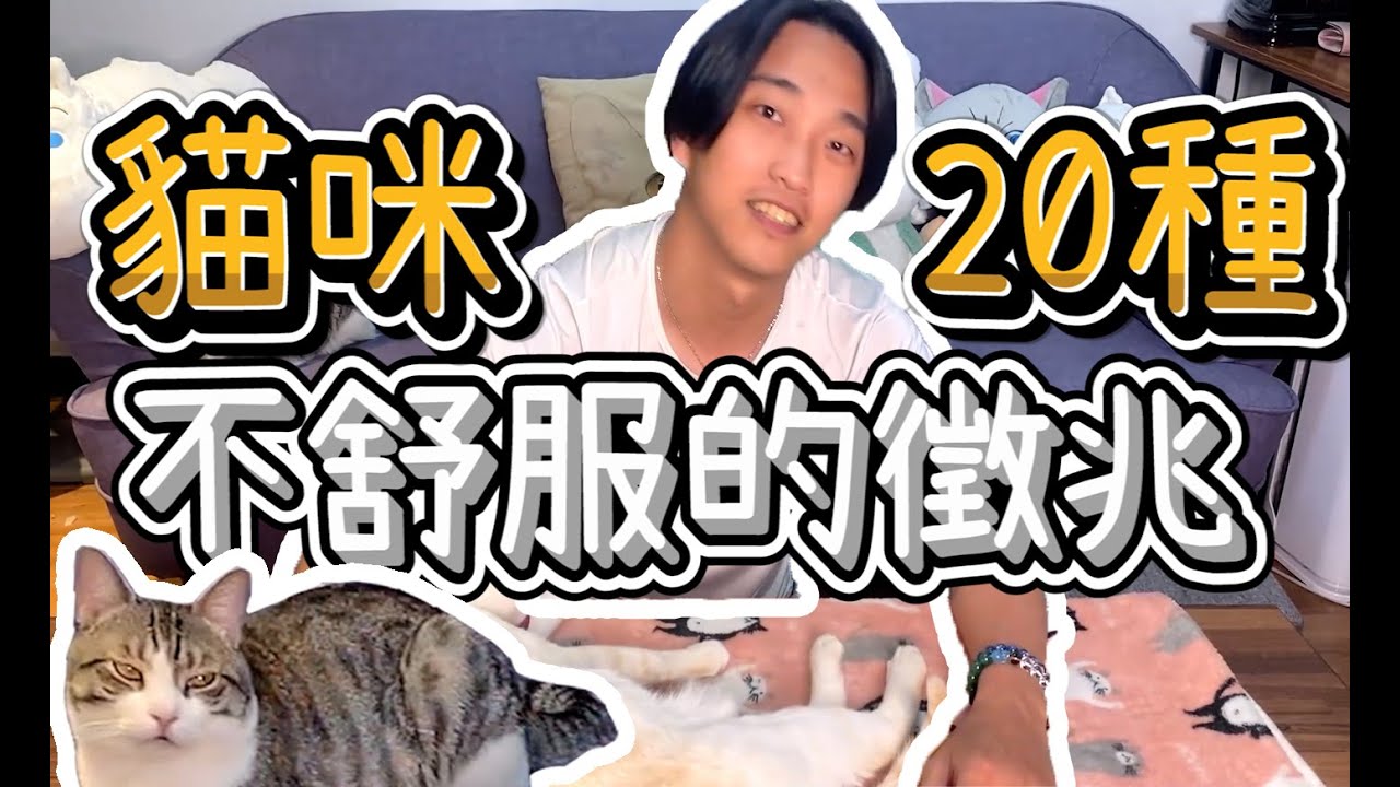 【瘋寵壓縮檔】20種貓咪不舒服/生病的症狀，為了貓咪健康一定要看完！