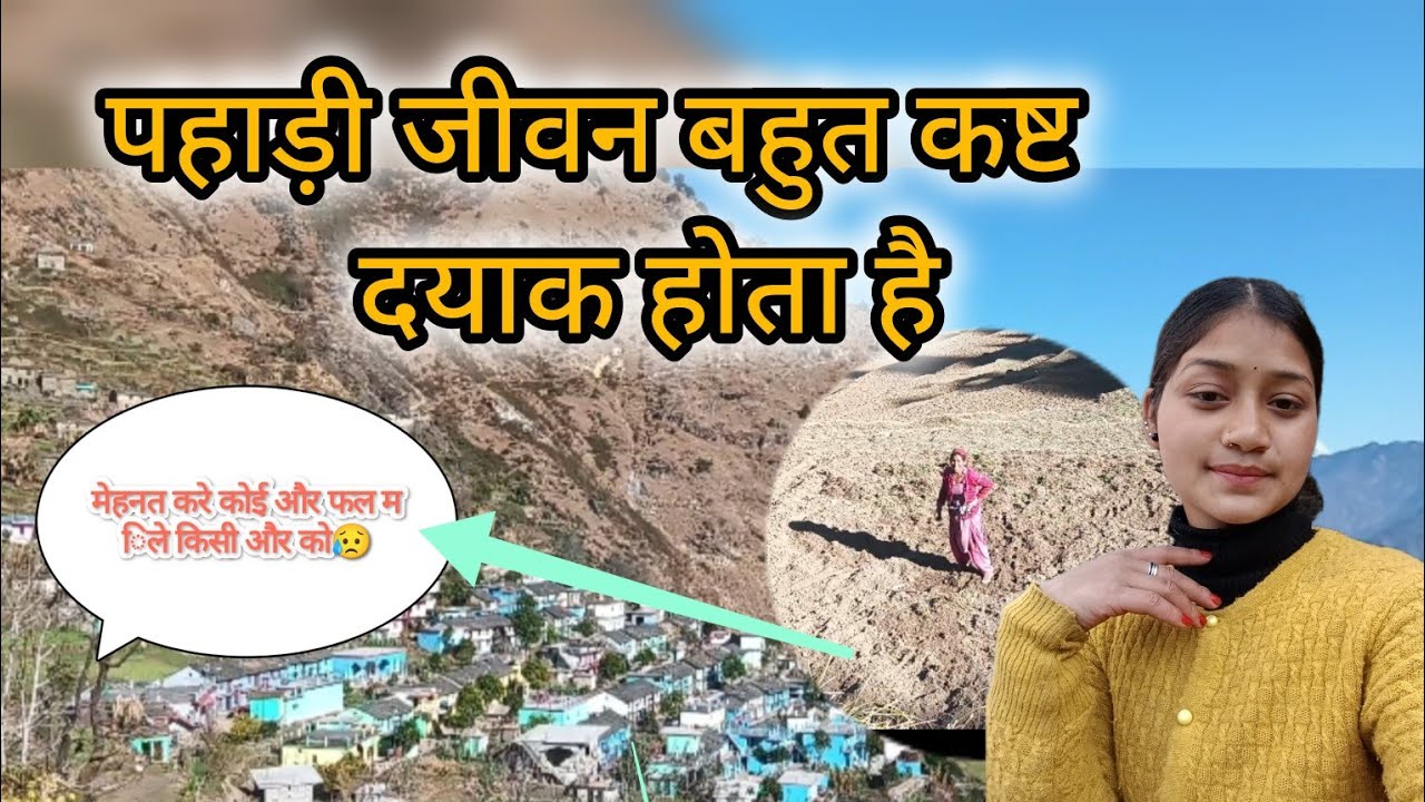 ।। पहाड़ी जीवन बहुत कष्ट दयाक होता है मेहनत करे कोई और फल मिले किसी और को😥।। #dailyvlog #phadivibes 