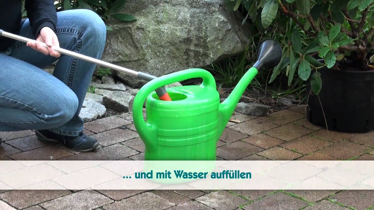 Nematoden gegen Dickmaulr&uuml;ssler