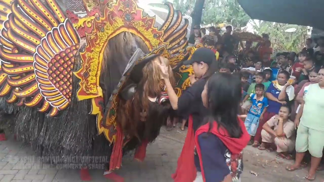 BARONG KUMBO || JARANAN WONGSO KENONGO (JWK) || LIVE ALIYAN - ROGOJAMPI