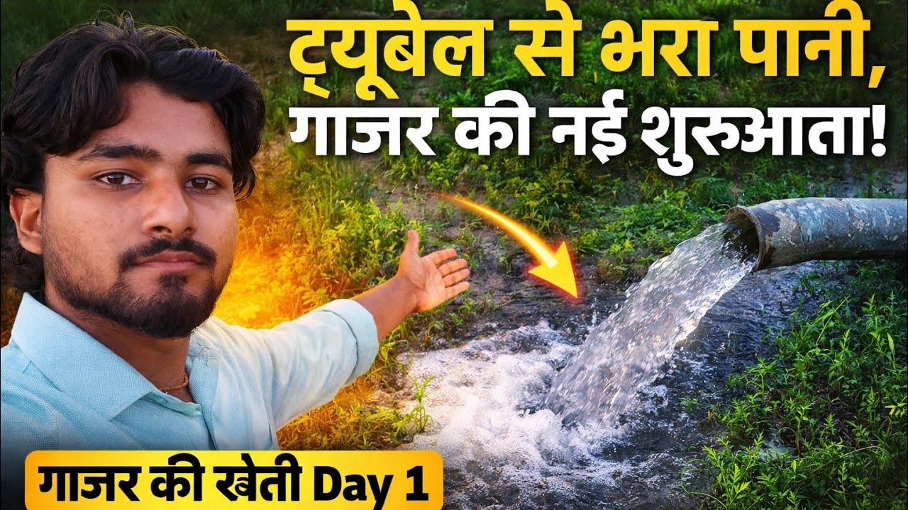 Gaon ki zindagi,khet ka safar,ganjar ki fasal, mehnat aur mitti ka pyaar#viral#trending #foryou#fypp