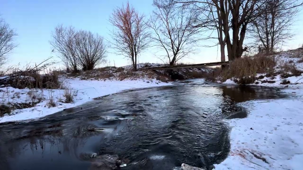 Спокійна сільська річка. Rural river.
