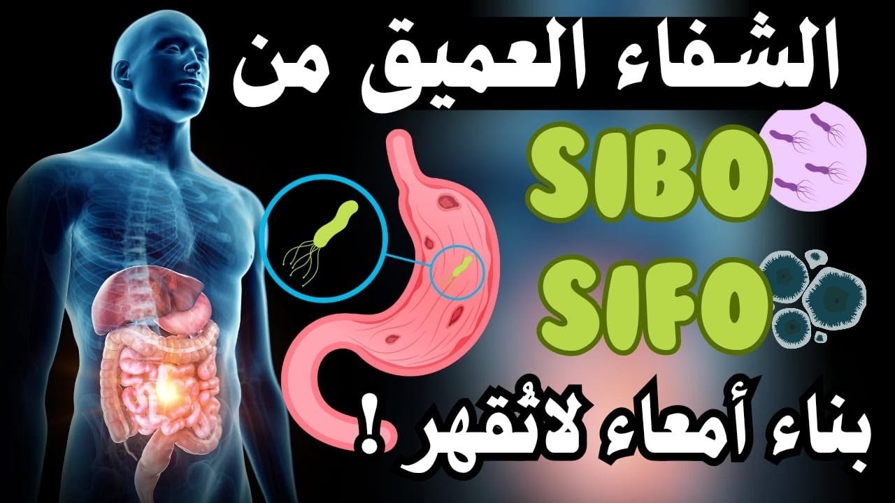 عالج أمعاءك بصمت، فترد لك الجميل بهدوء كيف تبني أمعاءً لا تُقهر وتمنع عودة SIBO وSIFO للأبد؟