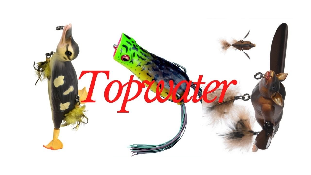 S&aring;dan fisker du med topwater wobler