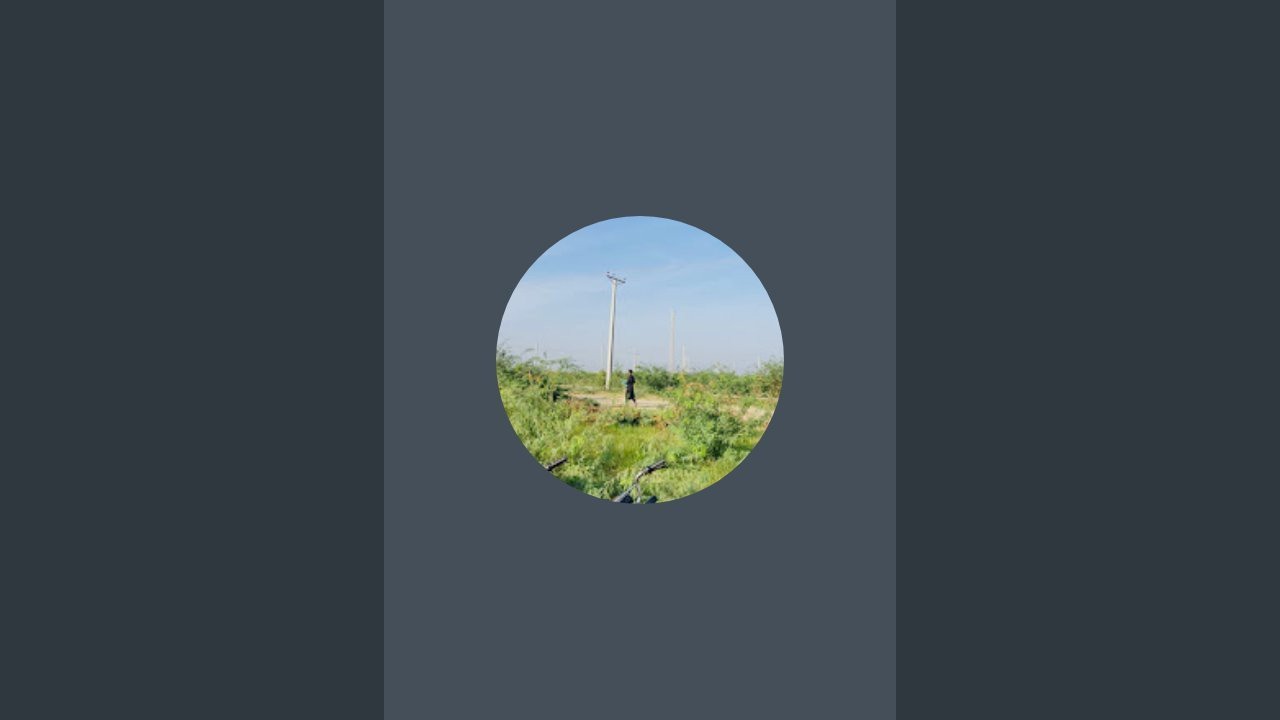 Weather Vibes  is live!
