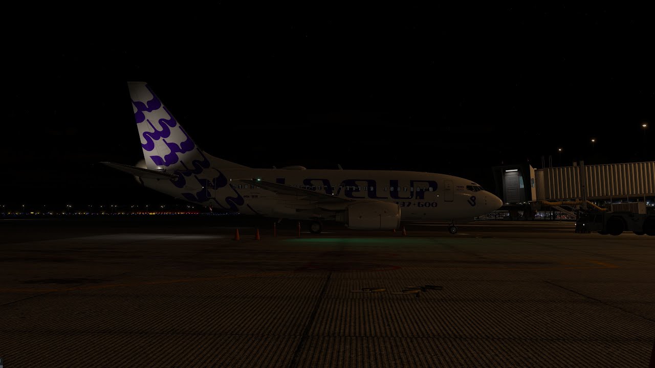 Level-Up 737-600 test