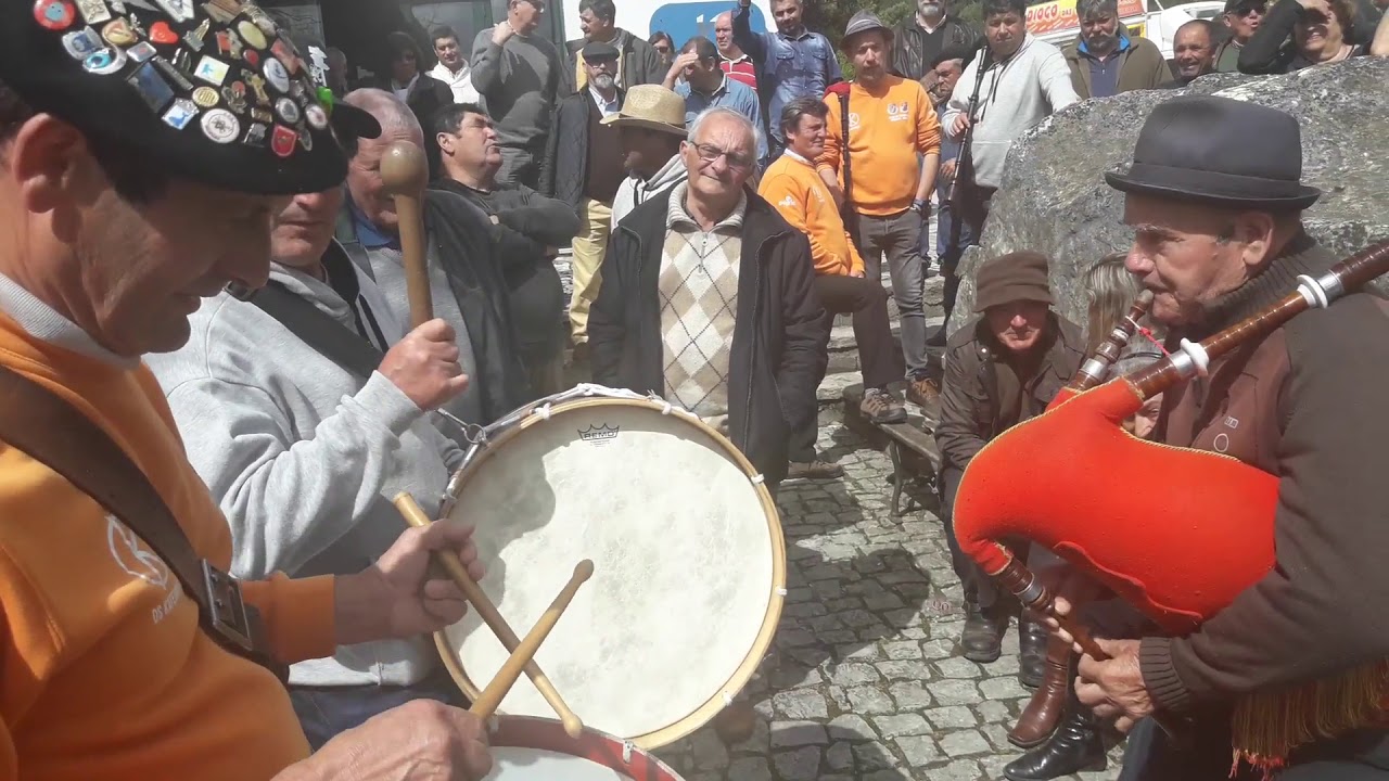 J. Carriço e Raimundos - Malmequer