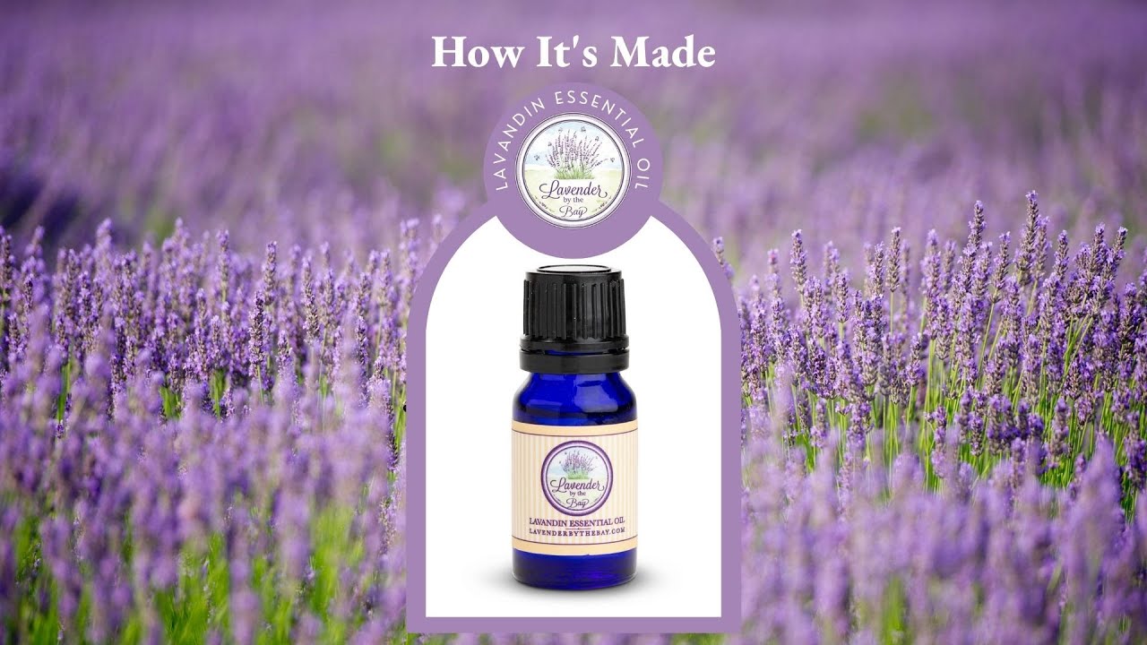 How It's Made | Lavandin Essential Oil