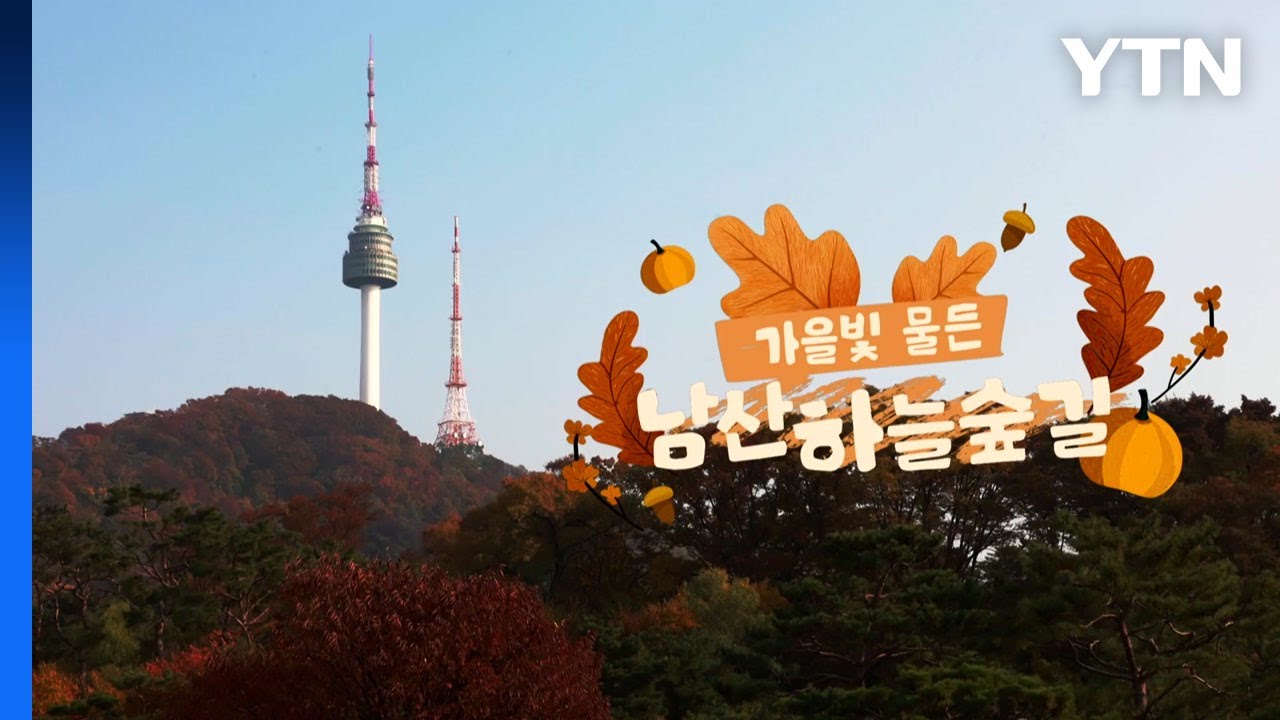 [영상] 가을빛 물든 남산 하늘숲길 따라 / YTN