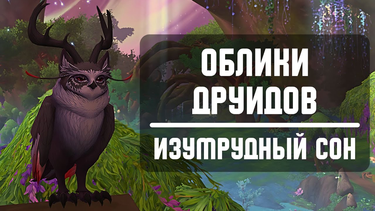ВСЕ облики для друида из Изумрудного Сна - полный гайд по получению всех обликов из патча 10.2