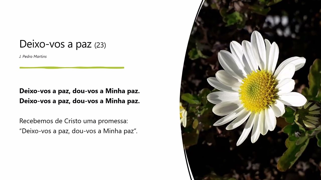 Deixo-vos a paz, dou-vos a Minha paz (23)