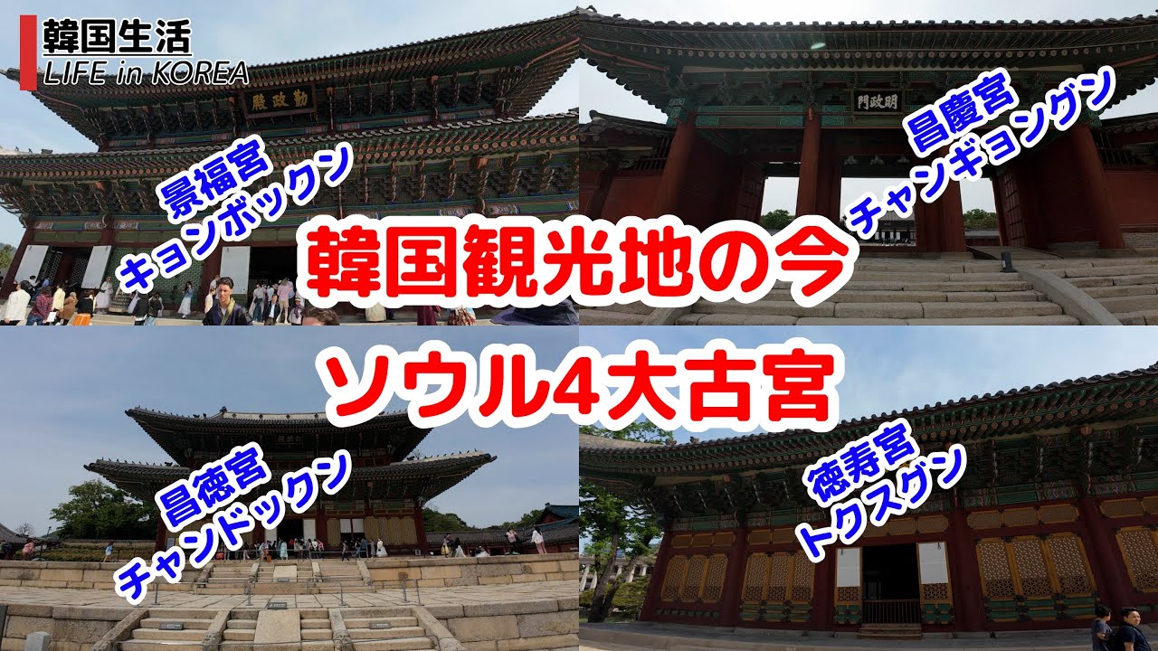 【韓国観光地の今/ソウル】ソウル4大古宮を徒歩で巡る #徳寿宮 #景福宮 #昌徳宮 #昌慶宮