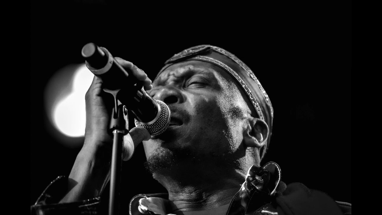 jimmy cliff -    roots radical  -   dub