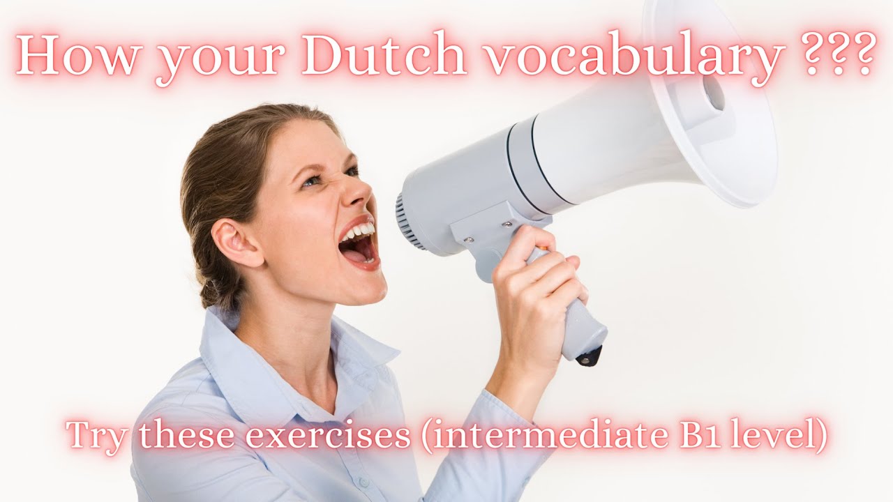 Test your Dutch Vocabulary (B1 level) !