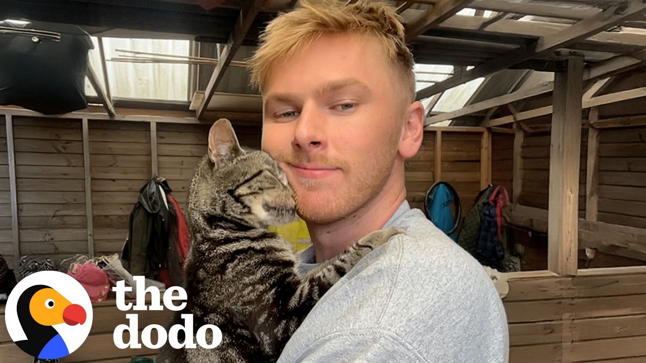 13-летняя кошка проводит дни в слинге | The Dodo