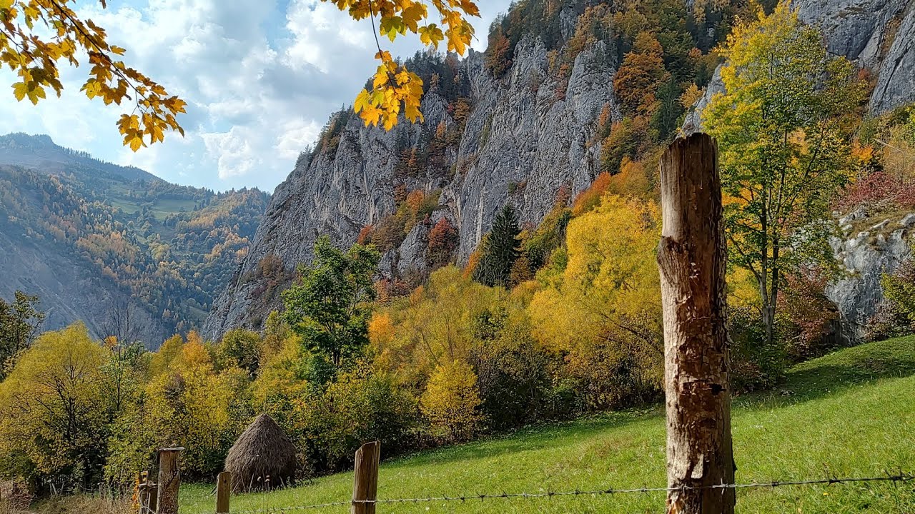 Hiking in the forest. The Munticelu Cave. #hiking #mountains #forest #naturelovers #travel #nature