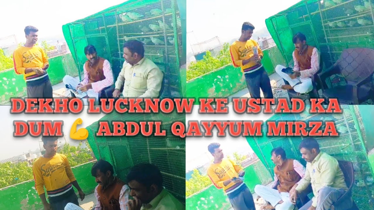 Ustad Abdul Qayyum Mirza Lucknow King#pigeon #pigeonhouse #viralvideo #trendingvideo #youtubevideo 