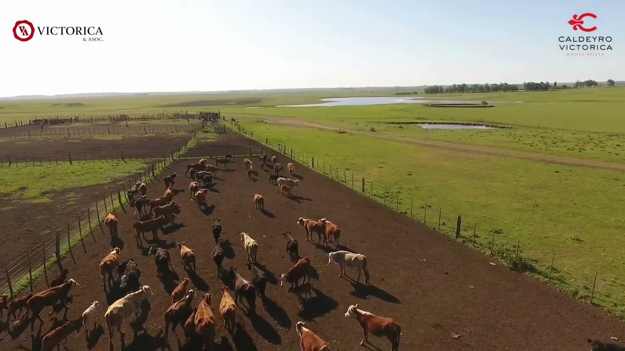 Campo en venta en Paysandú ref. 5439