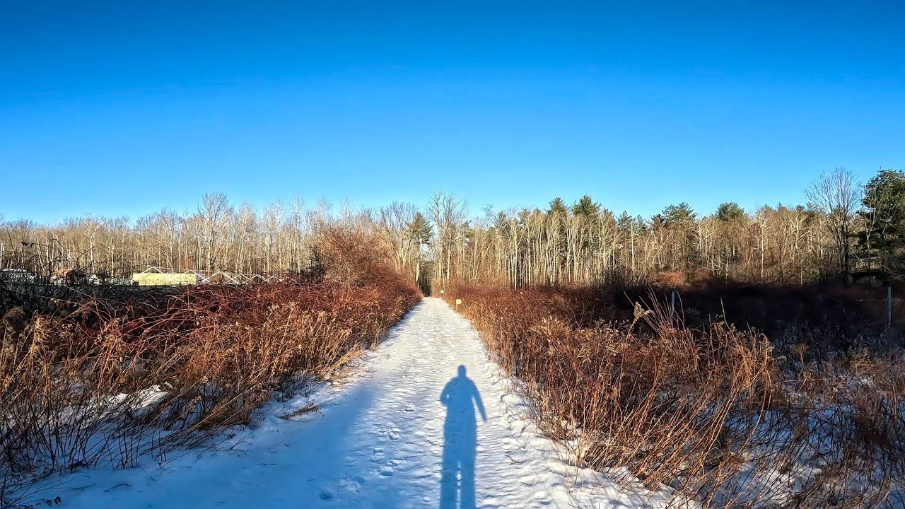 Icy Running - January 16, 2026