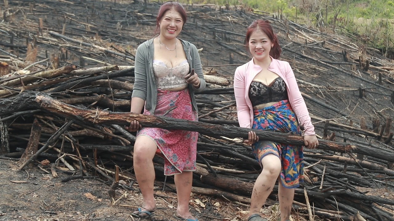 Xiavaj Vs maivkawm them teb working so hard on hillside field to clear the land for crops