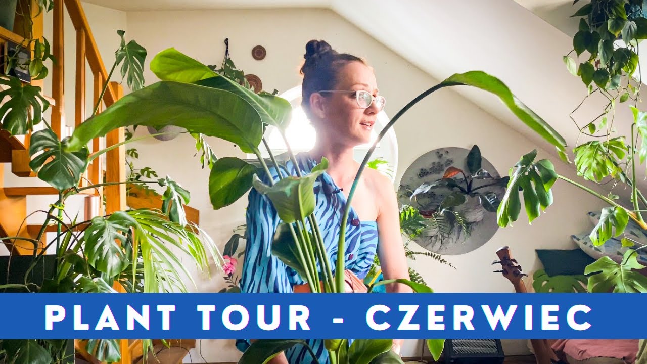 Roślinne aktualizacje PLANT TOUR Czerwiec 🌱 Moje rośliny domowe
