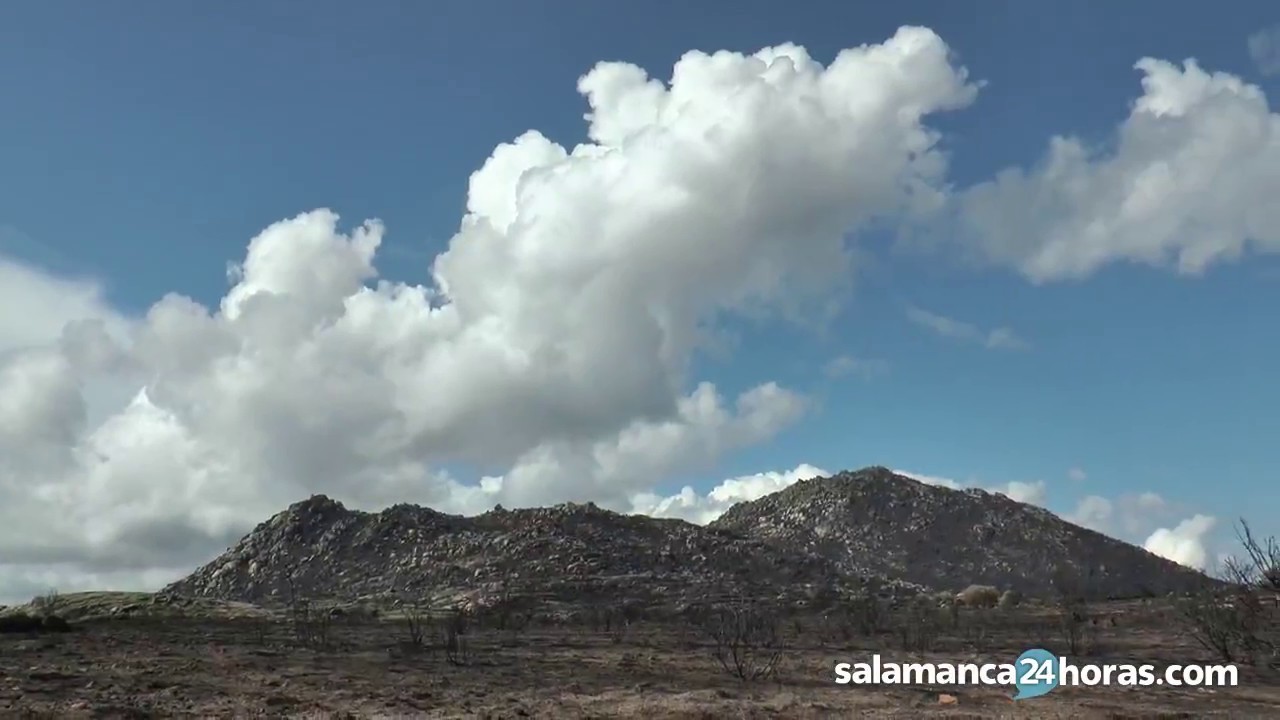 Las consecuencias del incendio en la zona de Santibáñez de Béjar