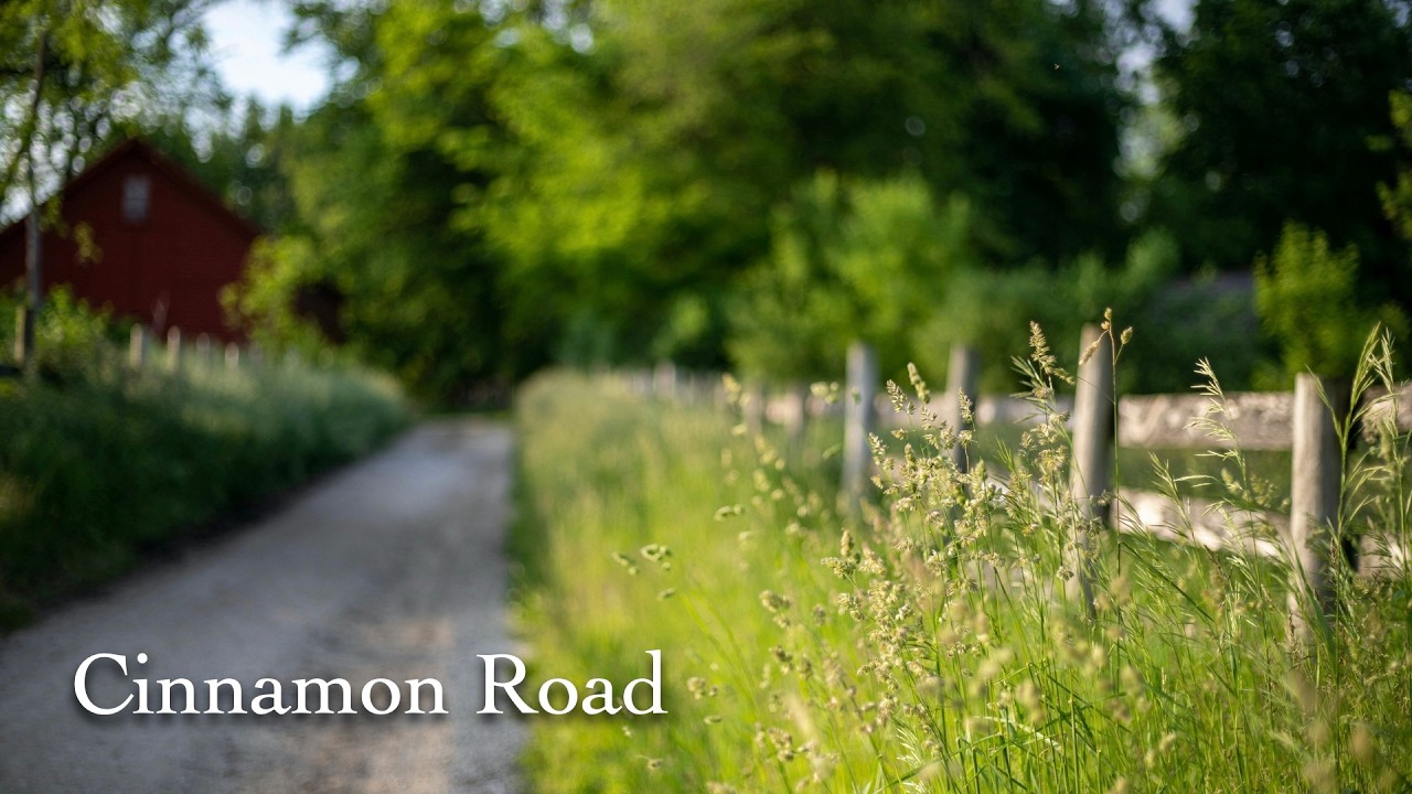 Shawn Colvin - Cinnamon Road (cover)