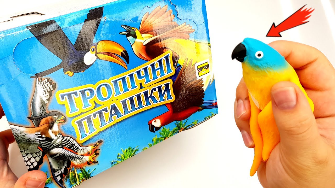 МОЙ ПОПУГАЙ - ЧТО С НИМ???  !!!  НОВЫЕ Стретч-игрушки Тропические птички #sbabam ОБЗОР ИГРУШЕК