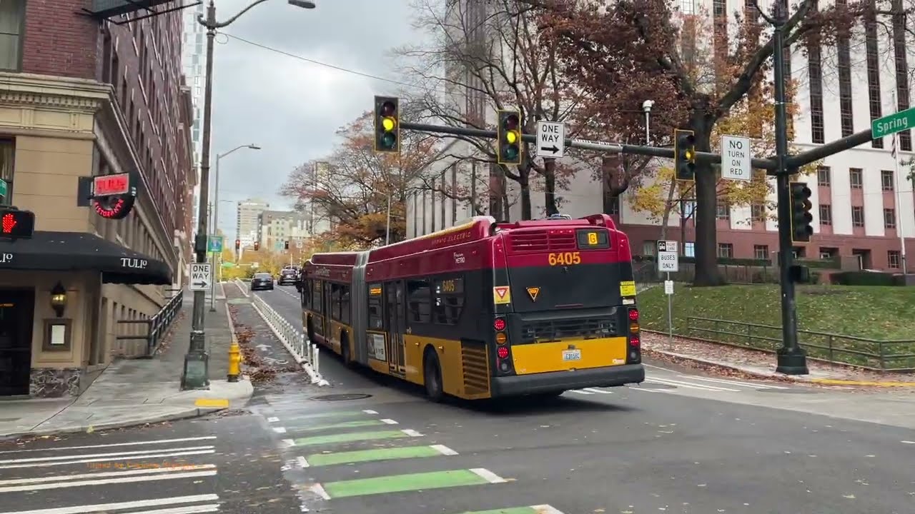 Buses in Seattle, Washington, USA 2025 (King County Transit, Sound Transit)