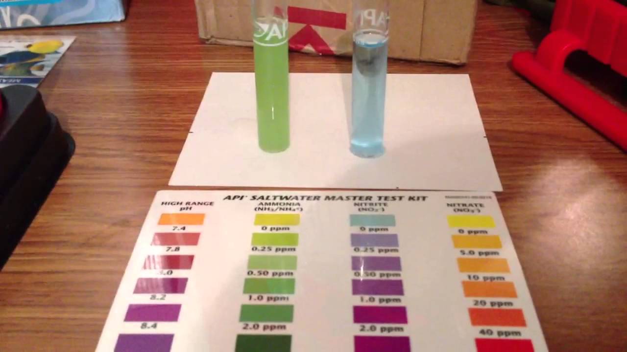Mr Aqua 25 Gallon Rimless Cube: ReefRaf's Saltwater Day 3 water test