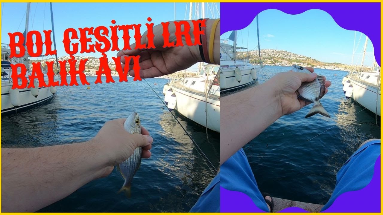 Bol &Ccedil;eşitli Lrf Yemli Balık Avı... Eski Fo&ccedil;a