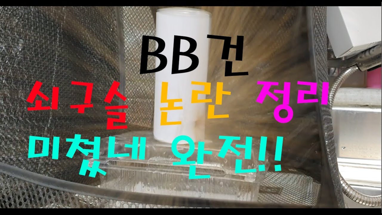 완전충격!! BB탄총 쇠구슬 논란 정리!! 직접 실험을하다!!