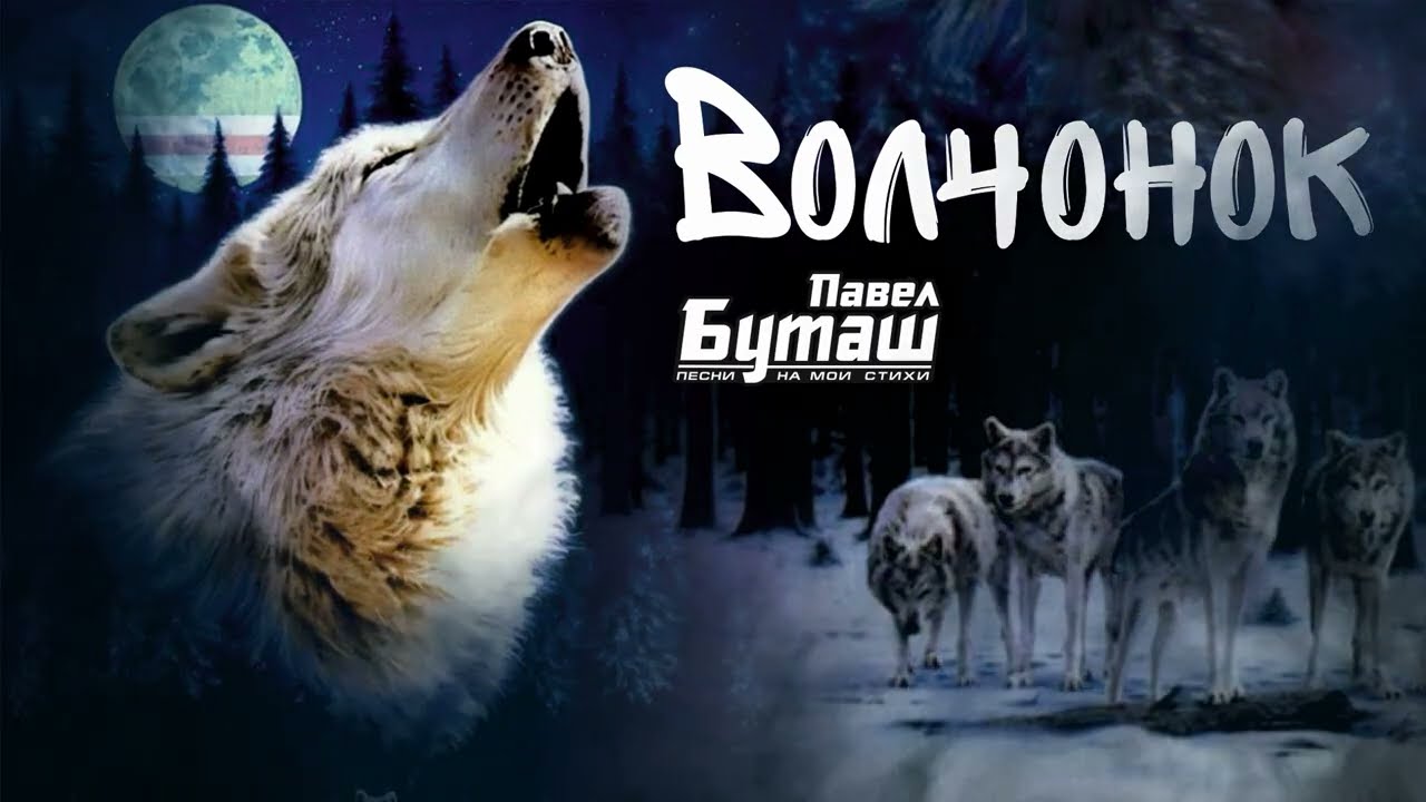 Волчонок (Ремикс)