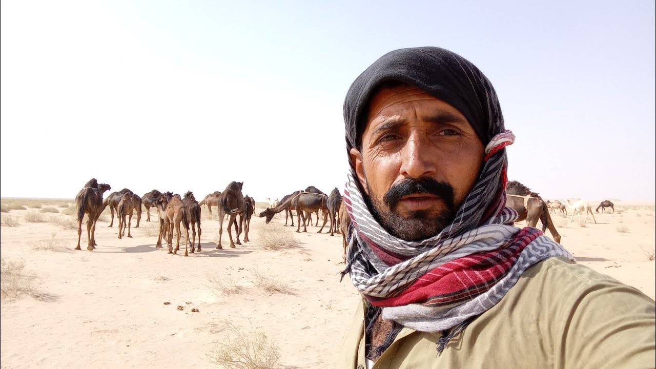 اليوم الساعه ٢اسرح مع جمل عامل ثاني تعبان||Ghulam Shabbir vlog 