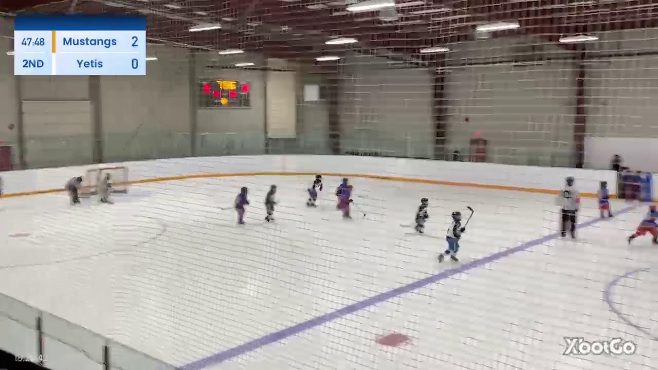 Mustangs versus yetis