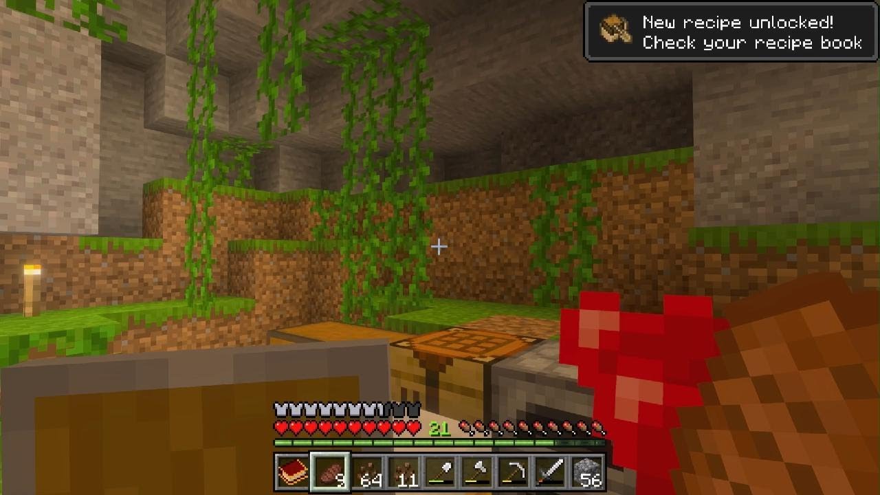Minecraft