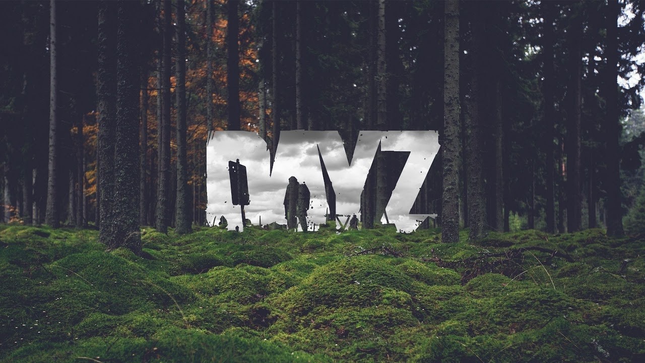 DayZ SO(Stay Out - Stalker online)-- Тунгуска Ведуны)))(Сектанты)