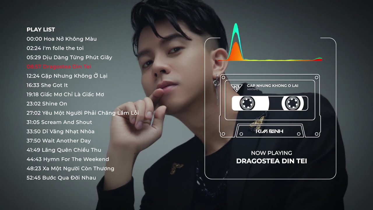 Mixtape - DJ Kim Bình Vol.01 (Hoa Nở Không Màu,Gặp Nhưng Không Ở Lại)