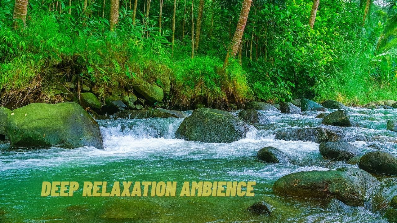 🔴 Live: Ruhiger Waldfluss | ASMR zum Einschlafen, Relaxen & Stress Loslassen 24/7