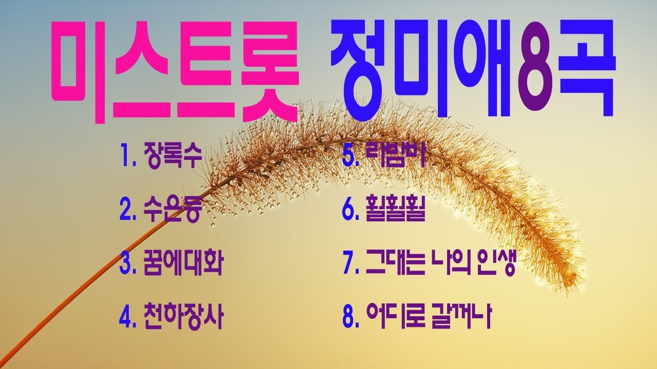 미스트롯, 정미애, 8곡 연속듣기,  7080, 8090, 국내가요, 한국가요,  발라드, 韓国の歌, KPOP