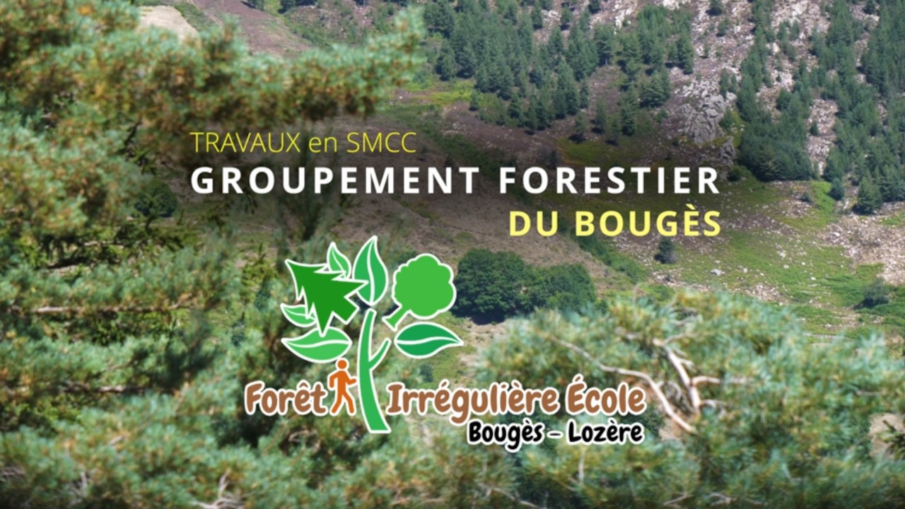 Les travaux en Sylviculture Mélangée à Couvert Continu dans la Forêt Irrégulière Ecole du Bougès